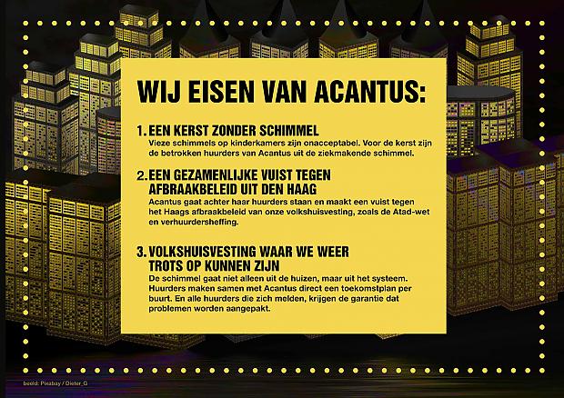 https://veendam.sp.nl/nieuws/2018/11/acantus-is-de-schimmelkampioen-van-nederland